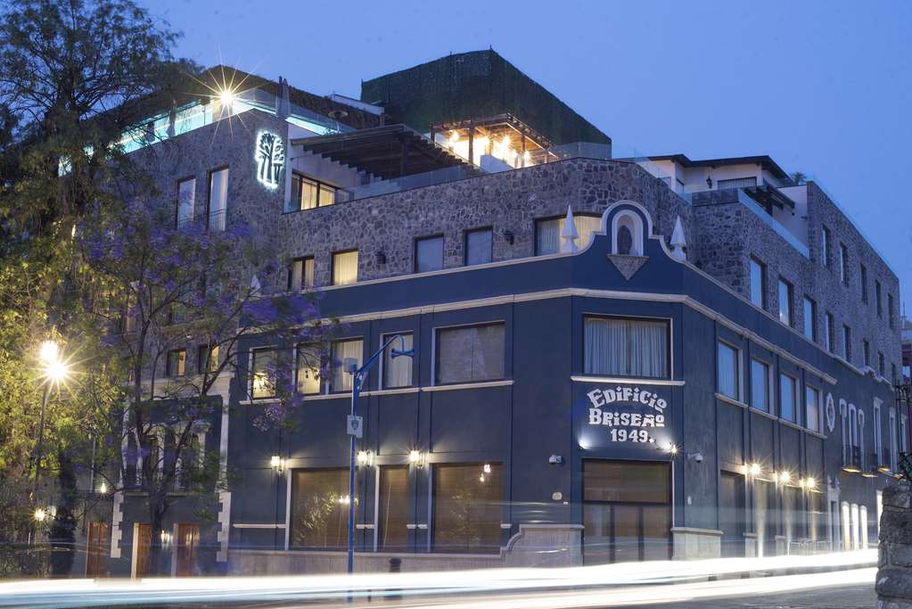 Banyan Tree Puebla