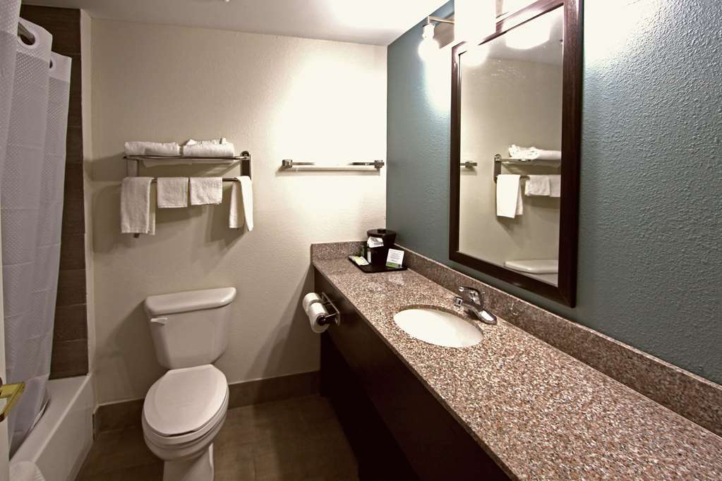 SLEEP INN AND SUITES FOLEY-guestroom-Guest Room,Bathroom,On-Site.jpg