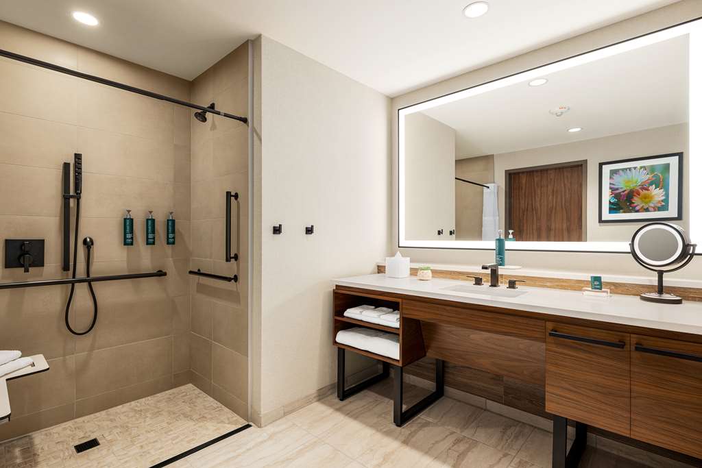 Hilton North Scottsdale at Cavasson Room Type - 1 KING ACC W  RI SHWR