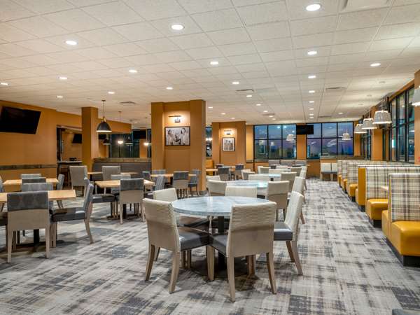 Restaurant - Hilton Garden Inn Jeffersonville
