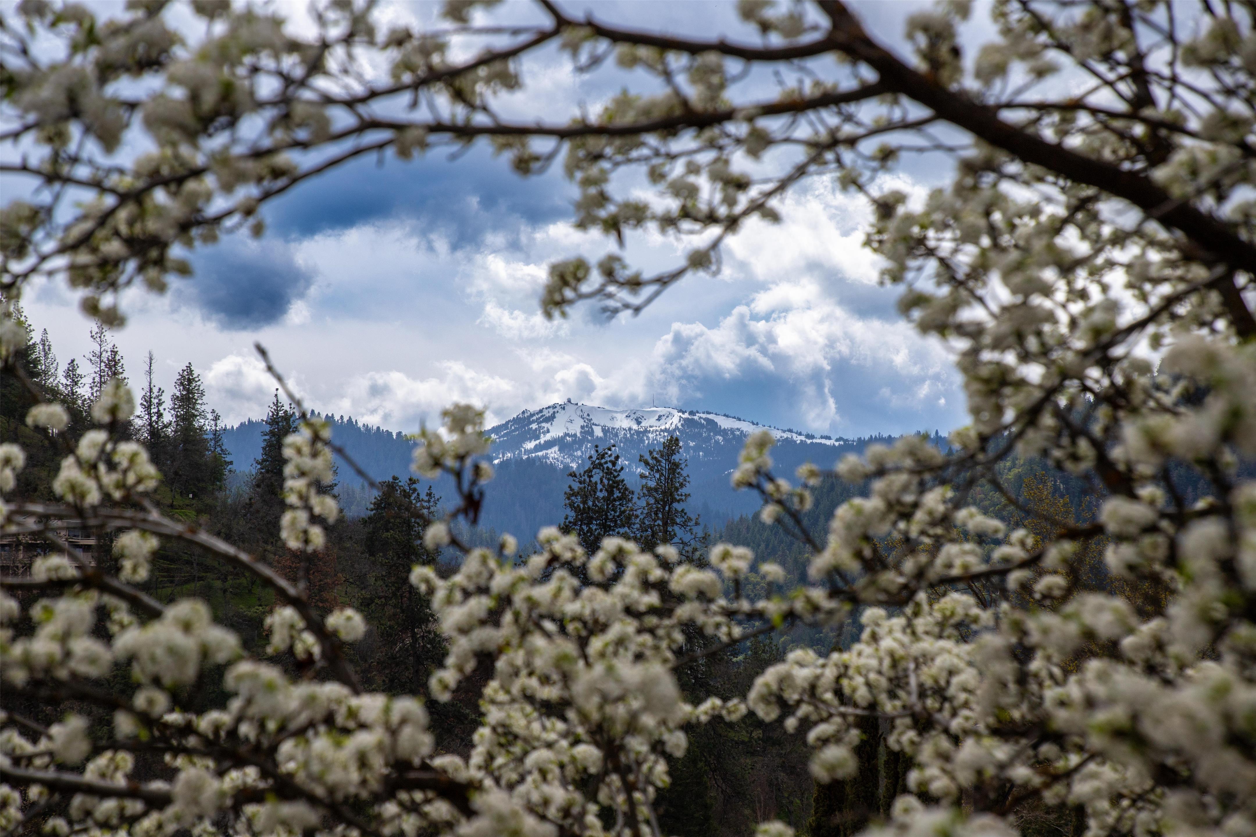 View Of Mt Ashland | The Bard's Inn, BW Signature Collection by Best Western