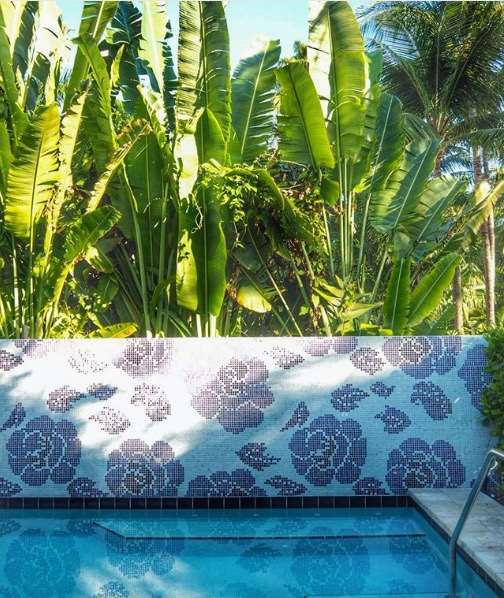 Pool - Marseilles Beachfront Hotel Miami Beach