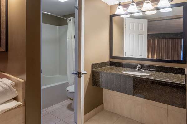  - Days Inn Birch Run - I-75, Exit 136