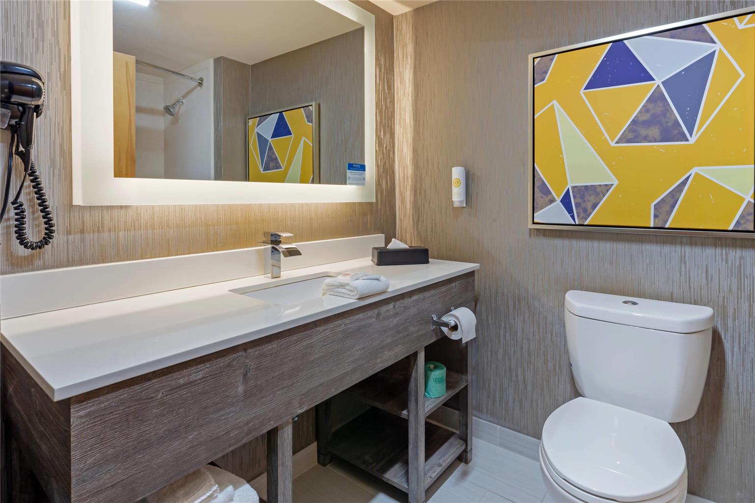 COMFORT INN AND SUITES GREENVILLE N-guestroom-Guest Room,Bathroom,On-Site.jpg