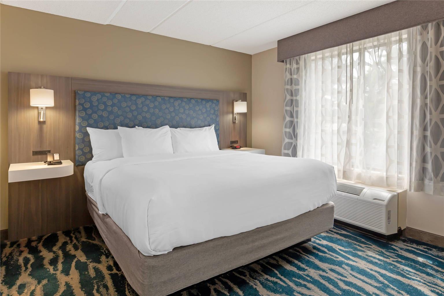 COMFORT INN AND SUITES GREENVILLE N-guestroom-Guest Room,Suite,On-Site.jpg