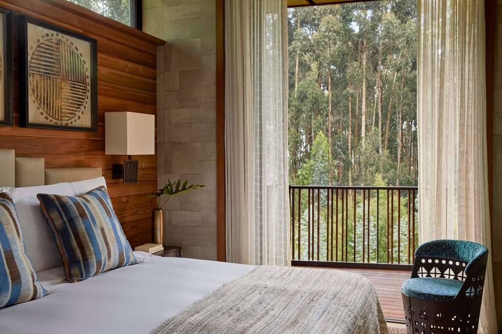 Guest photo