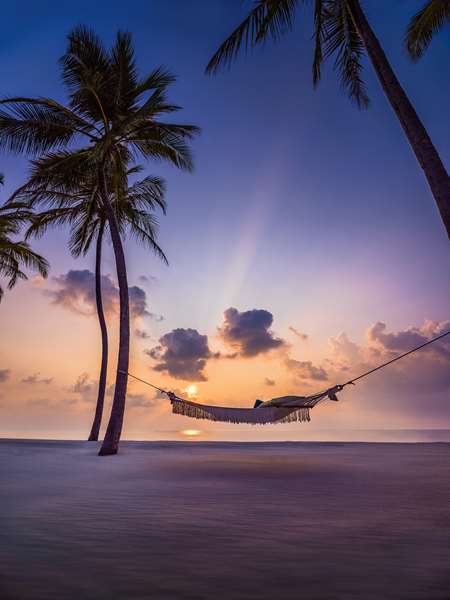ONE&ONLY REETHI RAH - Photo 6