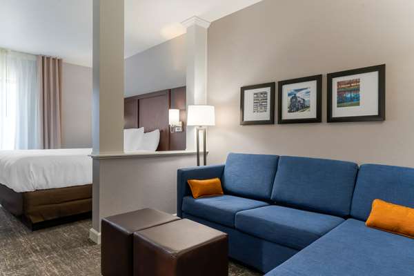 Suite - Comfort Suites Paducah - I-24, Exit 4