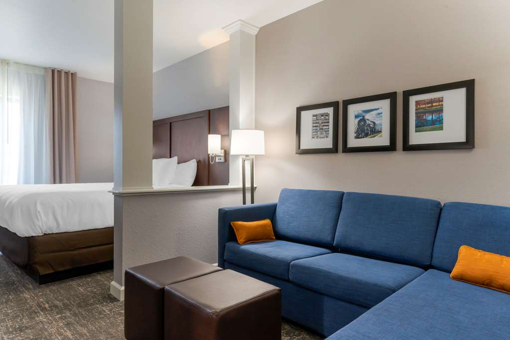 COMFORT SUITES PADUCAH MALL AREA-guestroom-Guest Room,Suite,On-Site.jpg