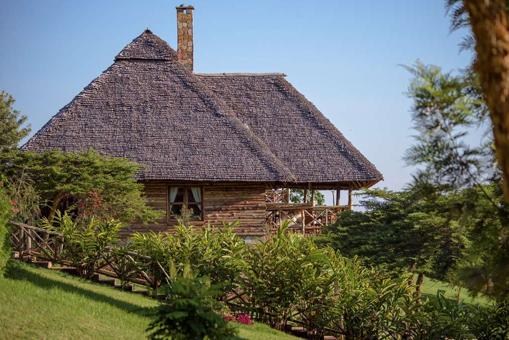 NEPTUNE NGORONGORO LUXURY LODGE-guestroom-Guest Room,On-Site.jpg