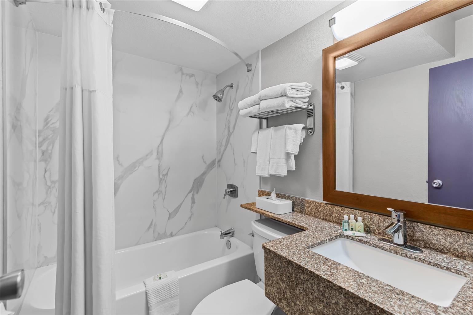 QUALITY INN - DENTON-guestroom-Guest Room,Bathroom,On-Site.jpg