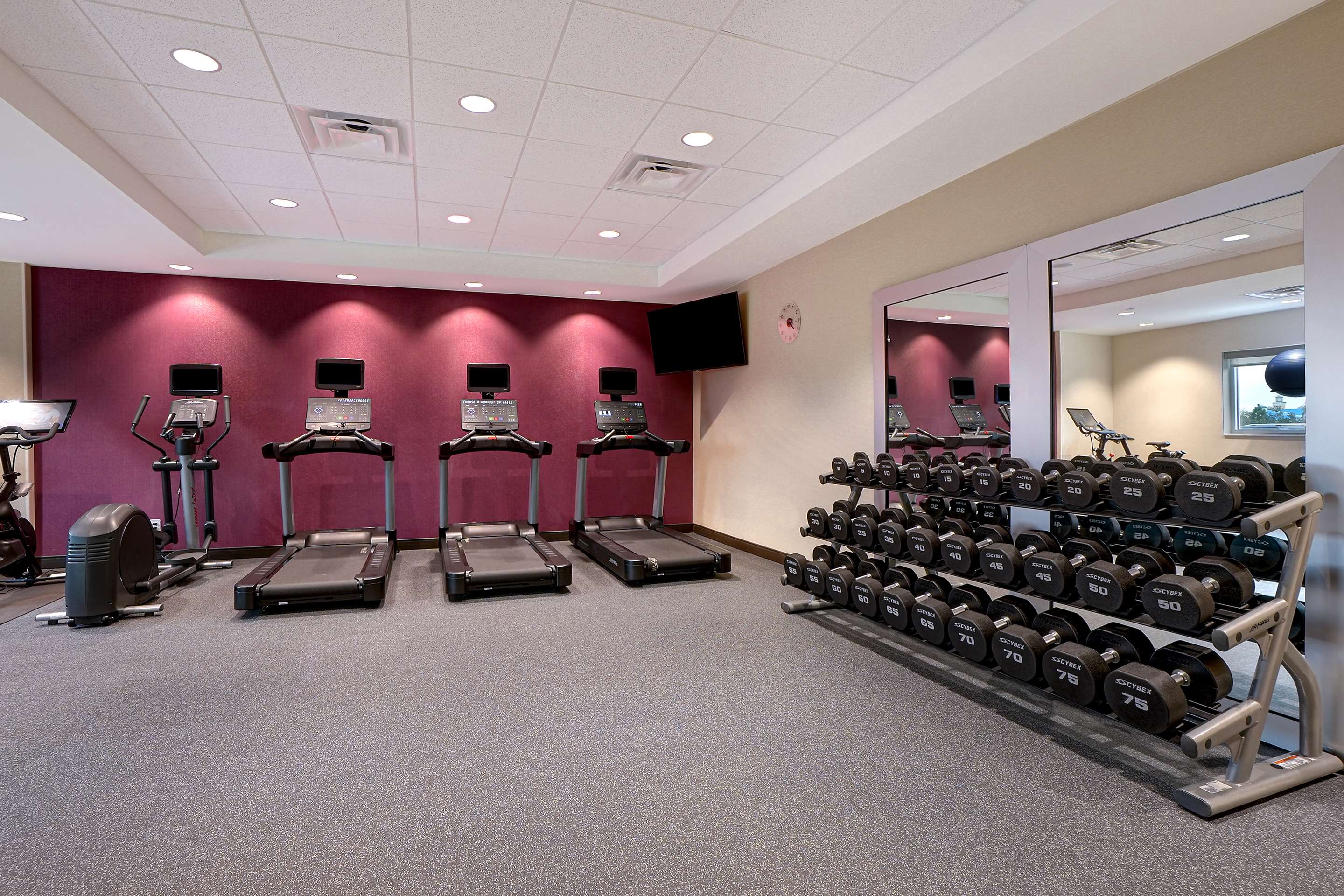 Health club fitness center gym