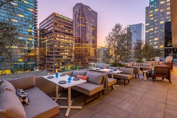 Bar - Wayfarer Hotel Downtown Los Angeles