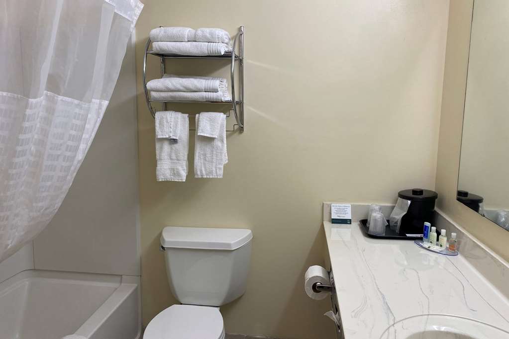 AMERICINN BY WYNDHAM FORT ATKINSON-guestroom-Guest Room,Bathroom,On-Site.jpg