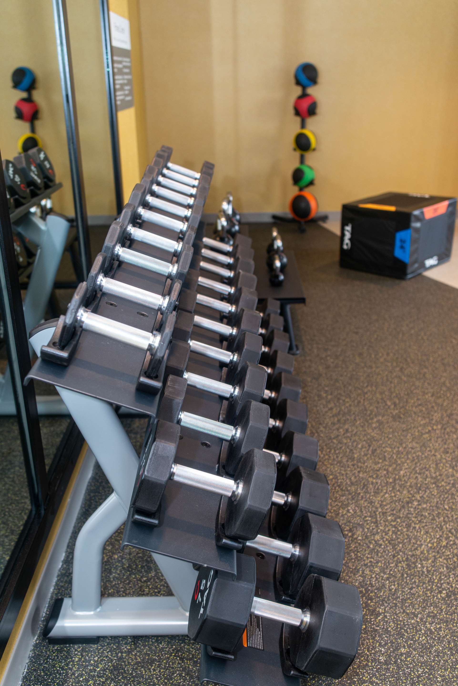 Health club fitness center gym