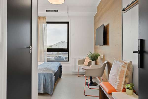 1 Queen Bed, Non-Smoking, Economy Room, Work Desk, Wi-Fi, Full Breakfast