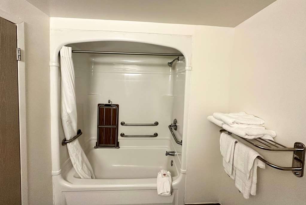 RAMADA BY WYNDHAM LITHIA SPRINGS AT-guestroom-Guest Room,Bathroom,On-Site.jpg