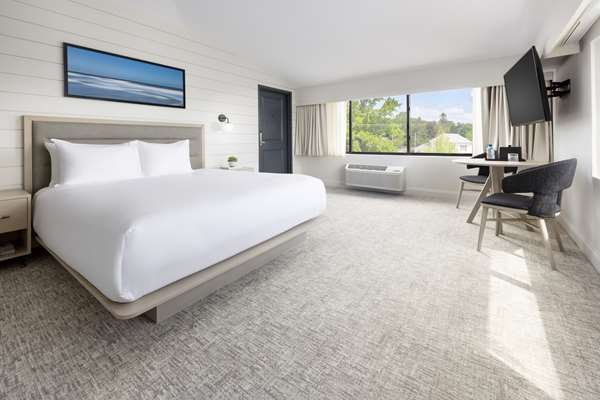 Suite - Pell Hotel Middletown