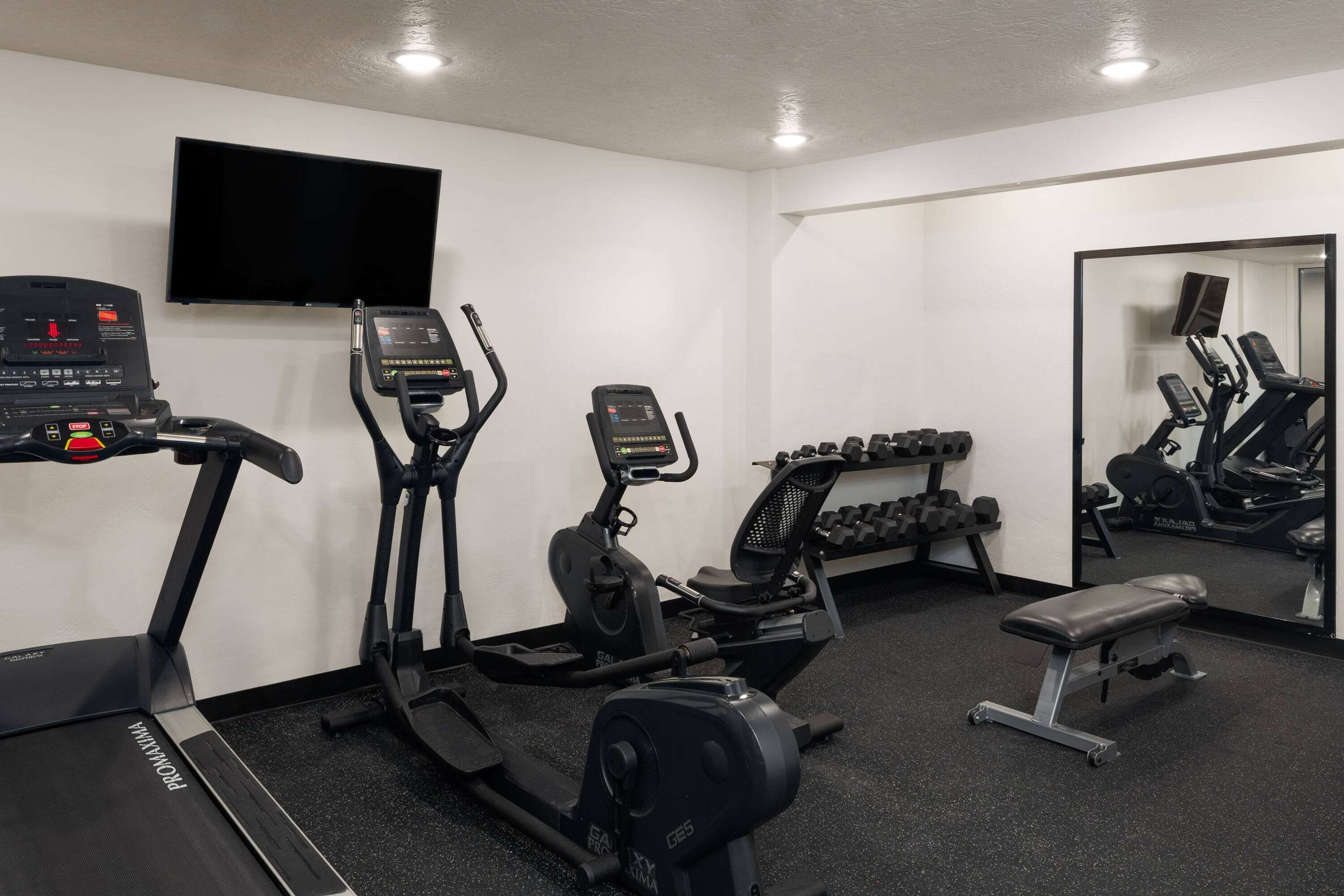 Health club fitness center gym