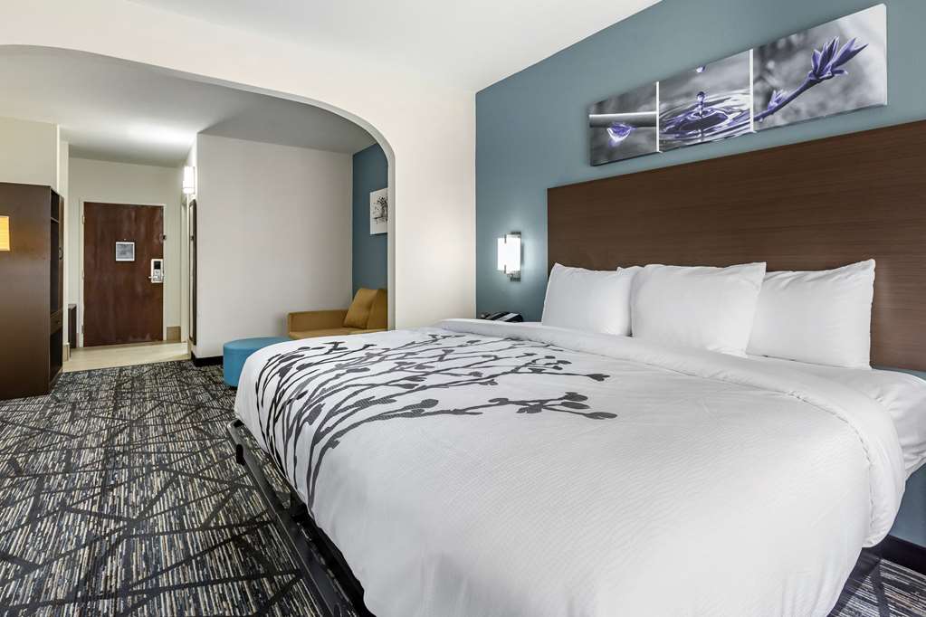 SLEEP INN AND SUITES GROVETOWN - AU-guestroom-Guest Room,Suite,On-Site.jpg