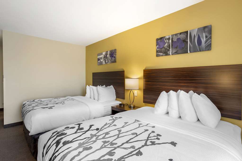 SLEEP INN NORTH - CENTRAL YORK-guestroom-Guest Room,On-Site.jpg