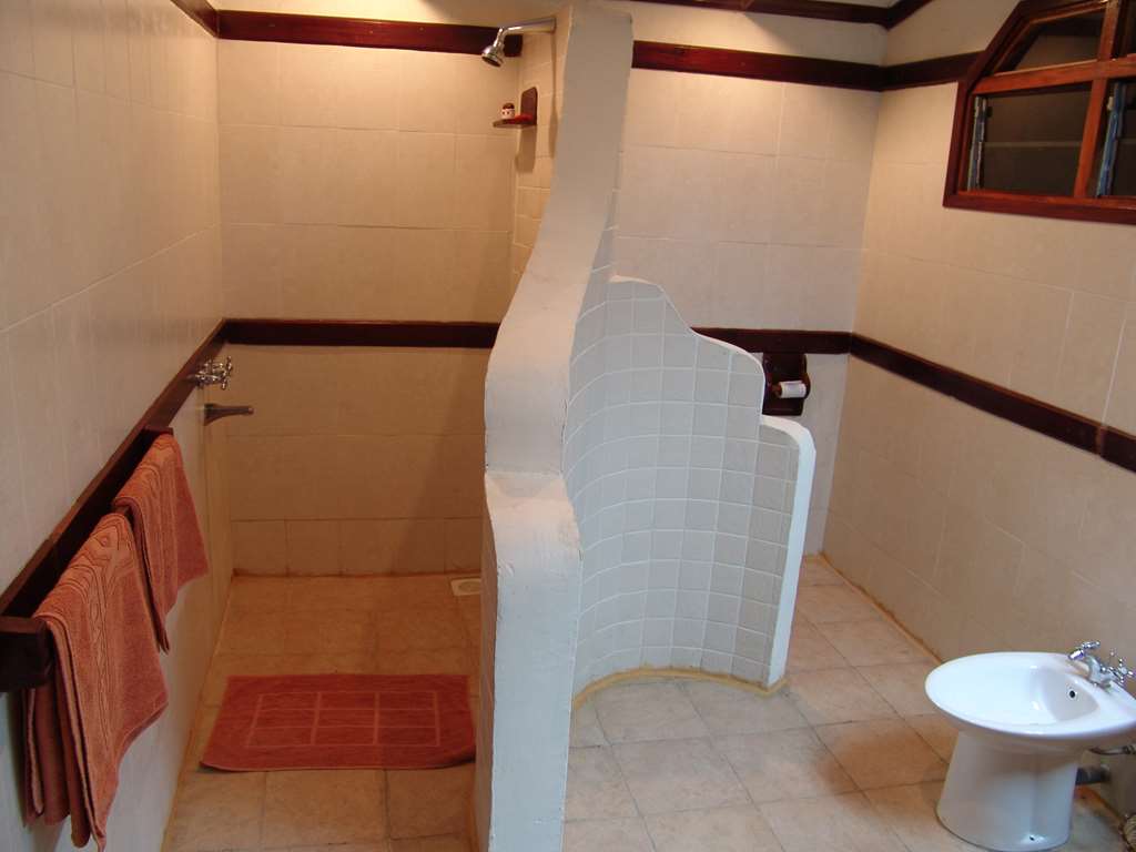 FIG TREE CAMP-guestroom-Guest Room,Bathroom,On-Site.jpg