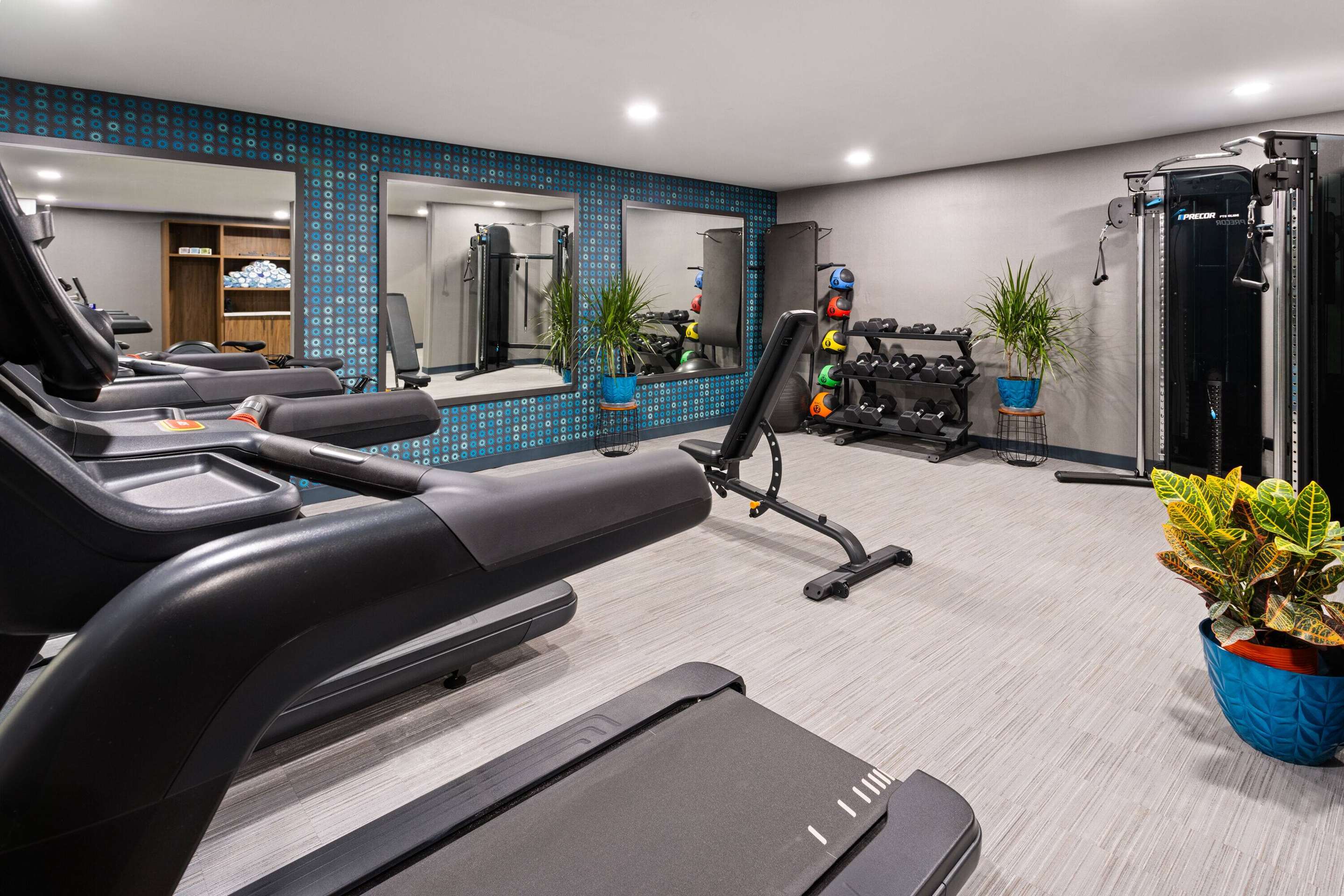 Health club fitness center gym
