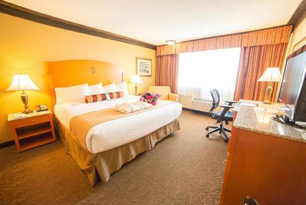 1 King Bed, Deluxe Room, Non-Smoking