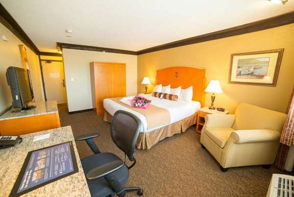 1 Queen Bed, Mobility Accessible Room, Roll-In Shower, Non-Smoking
