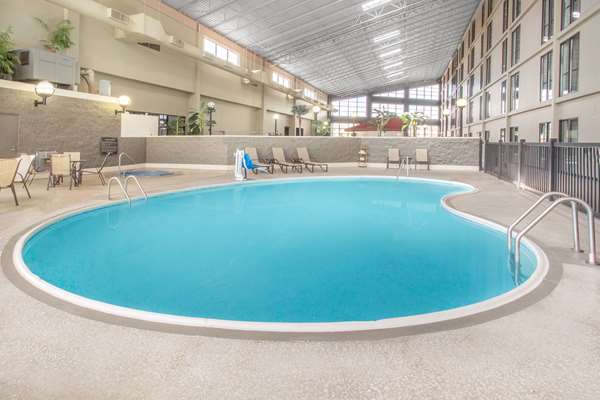 Pool - Wyndham Garden Conference Center Urbana - I-74, Exit 183