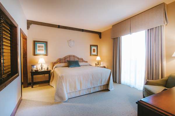 Suite - Hotel Viata Austin