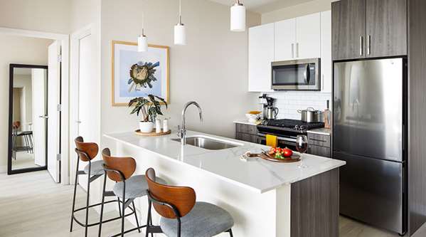 Suite - Sentral Apartments Michigan Avenue Chicago