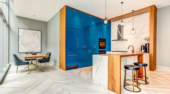  - Sentral Apartments Michigan Avenue Chicago