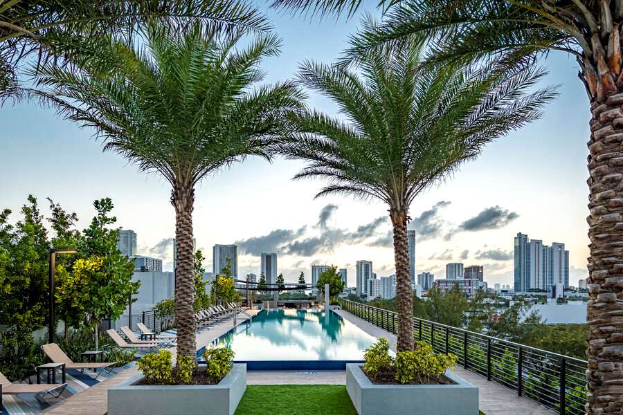 Resort-Style Pool and Sundeck | Sentral Wynwood