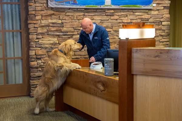 Suite - Lodge at Tiburon