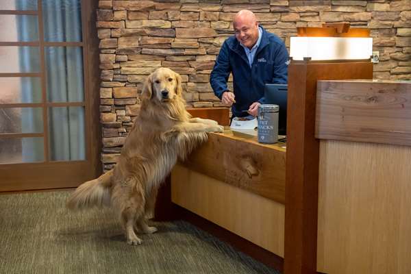 Suite - Lodge at Tiburon