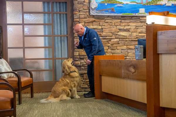 Suite - Lodge at Tiburon
