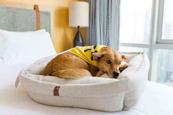  - Sentral Apartment Hotel Old Town Scottsdale