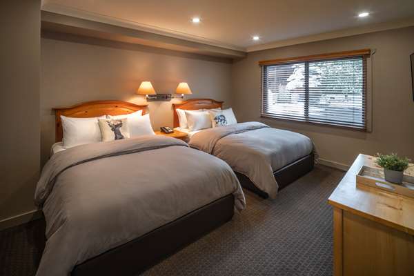 Suite - Buffalo Mountain Lodge Banff