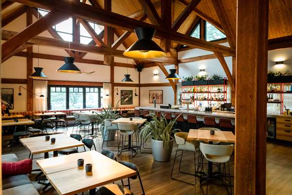 Bar - Buffalo Mountain Lodge Banff