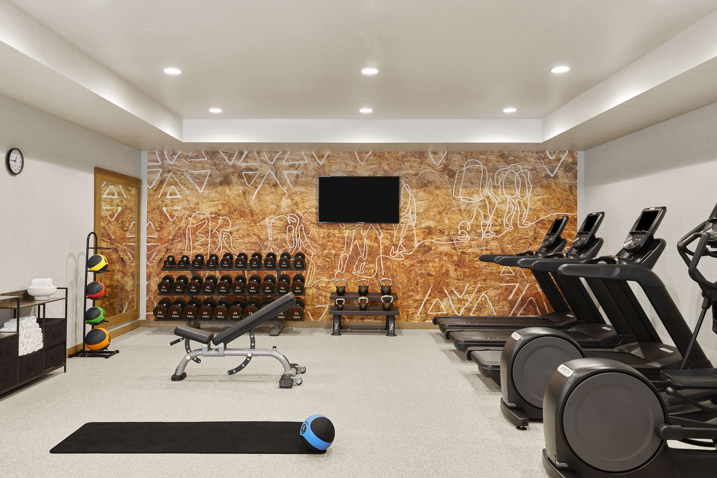 Health club fitness center gym