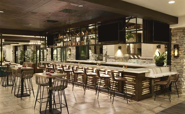 Bar - Eddy Hotel Tucson