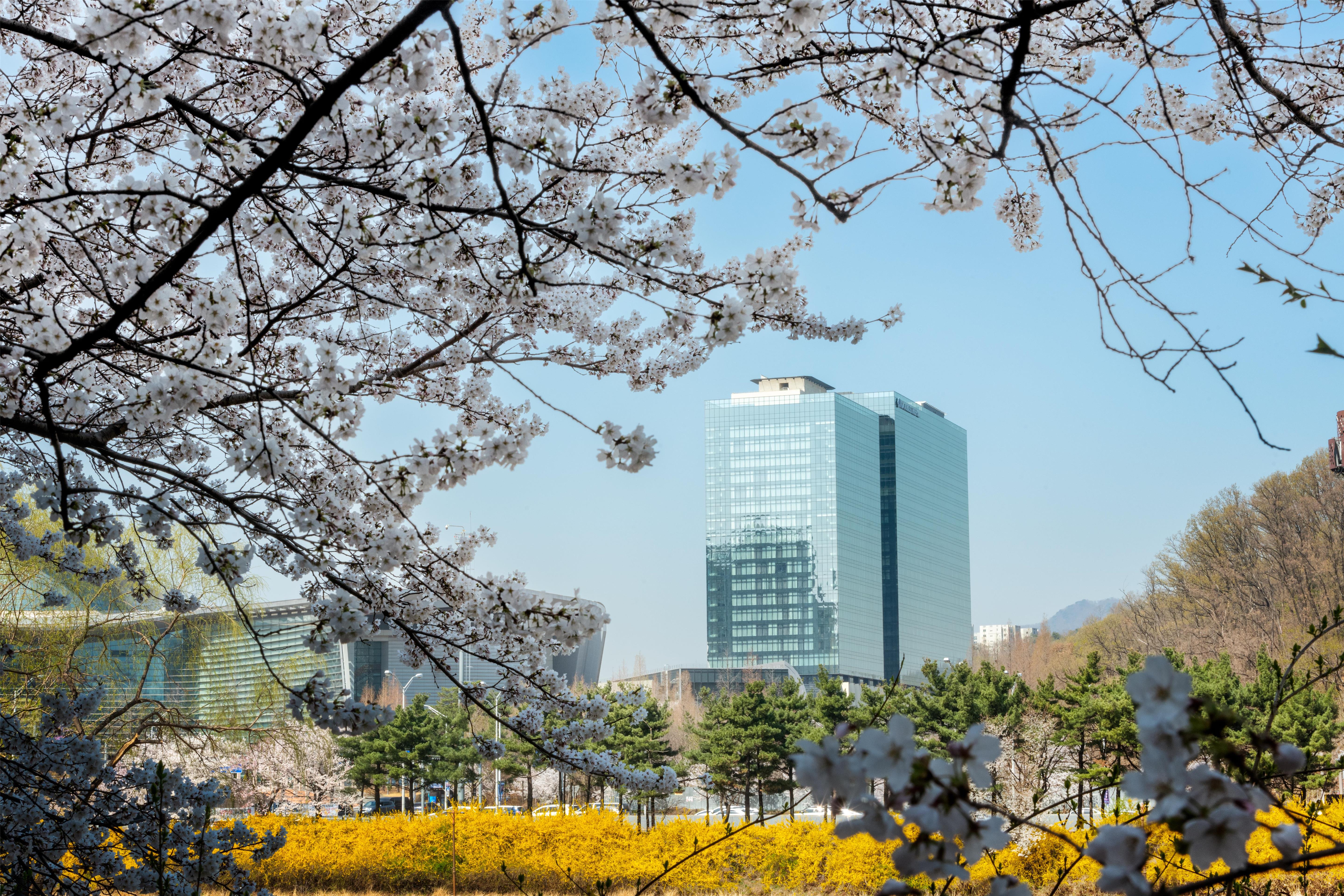 DoubleTree by Hilton Seoul Pangyo Residences