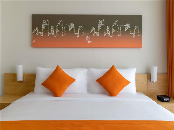 One Bedroom Apartment ,1King size bed and 1 Single sofa bed