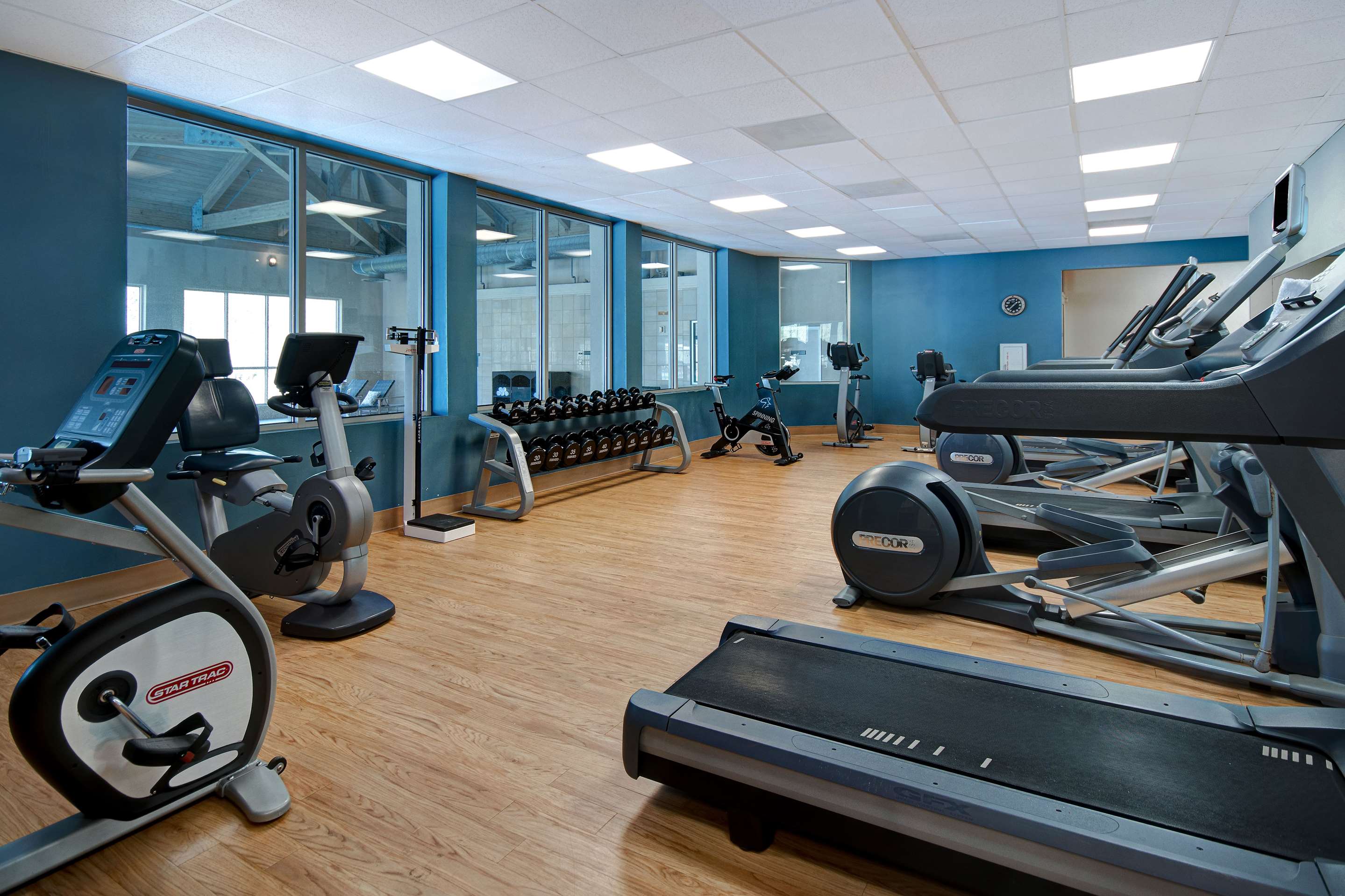 Health club fitness center gym