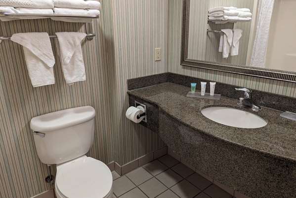  - Wingate by Wyndham Hotel Mansfield