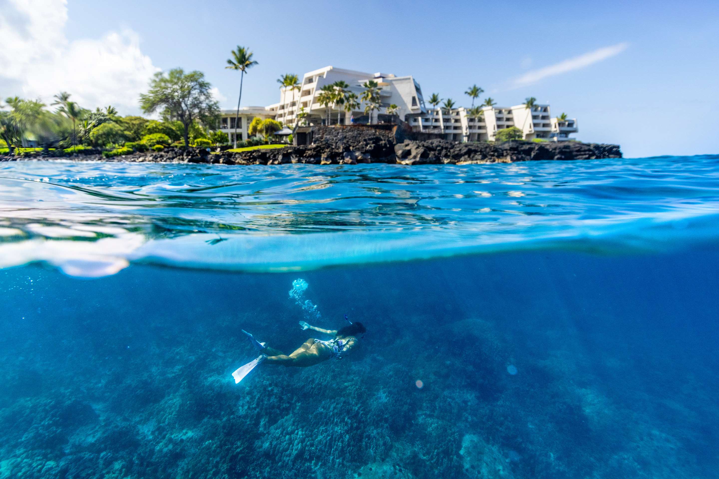Snorkel | OUTRIGGER Kona Resort and Spa