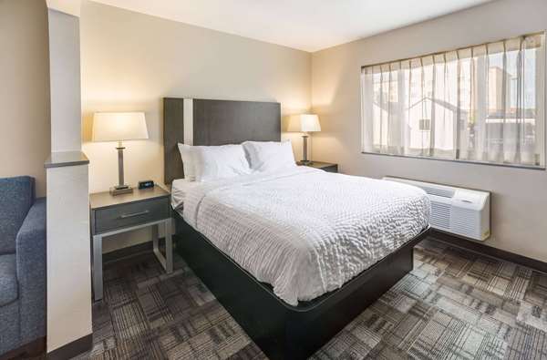 1 Queen Bed, Accessible Room, Roll-In Shower, Non-Smoking