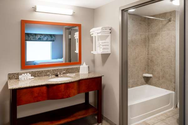  - Hampton Inn & Suites Salida