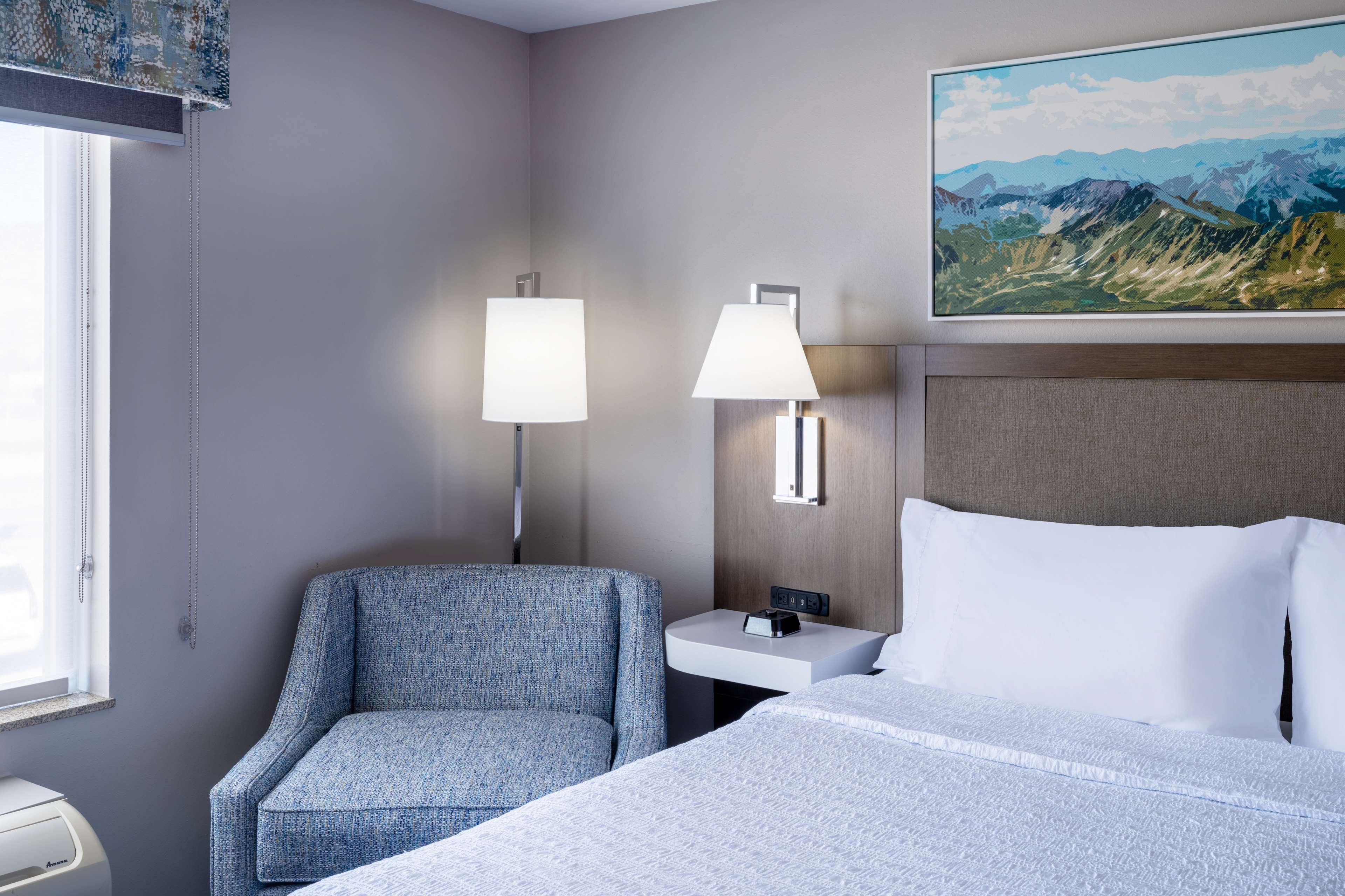 Hampton Inn & Suites by Hilton Salida Room Type - 1KG MOB HEAR ACC RI-SHW